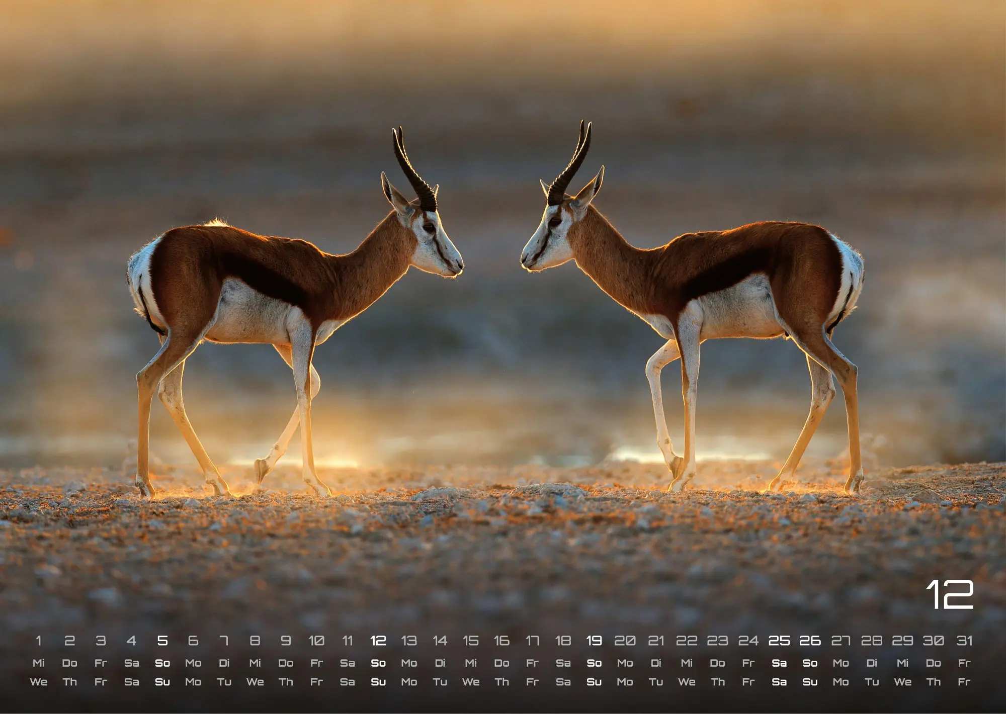 Bild: 9783986736927 | Afrikas Tierwelt - Der Tierkalender - 2027 - Kalender DIN A3 | de