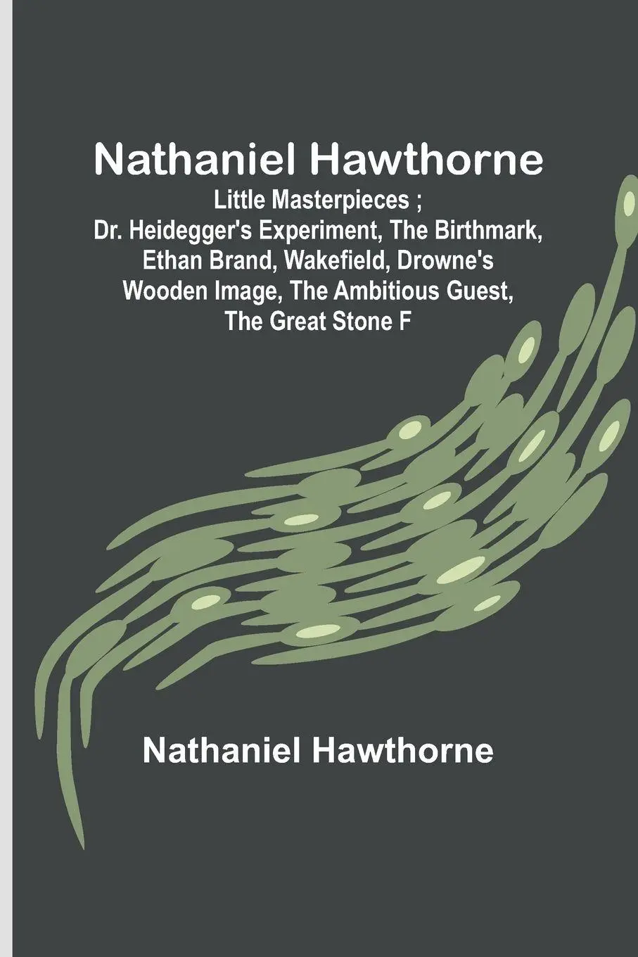 Cover: 9789356706927 | Nathaniel Hawthorne ; Little Masterpieces ; Dr. Heidegger's...