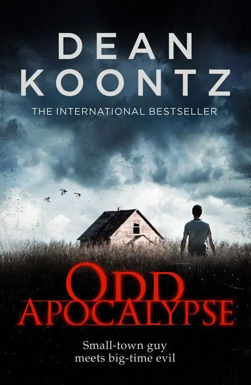 Cover: 9780007327027 | Odd Apocalypse | Dean Koontz | Taschenbuch | Kartoniert / Broschiert