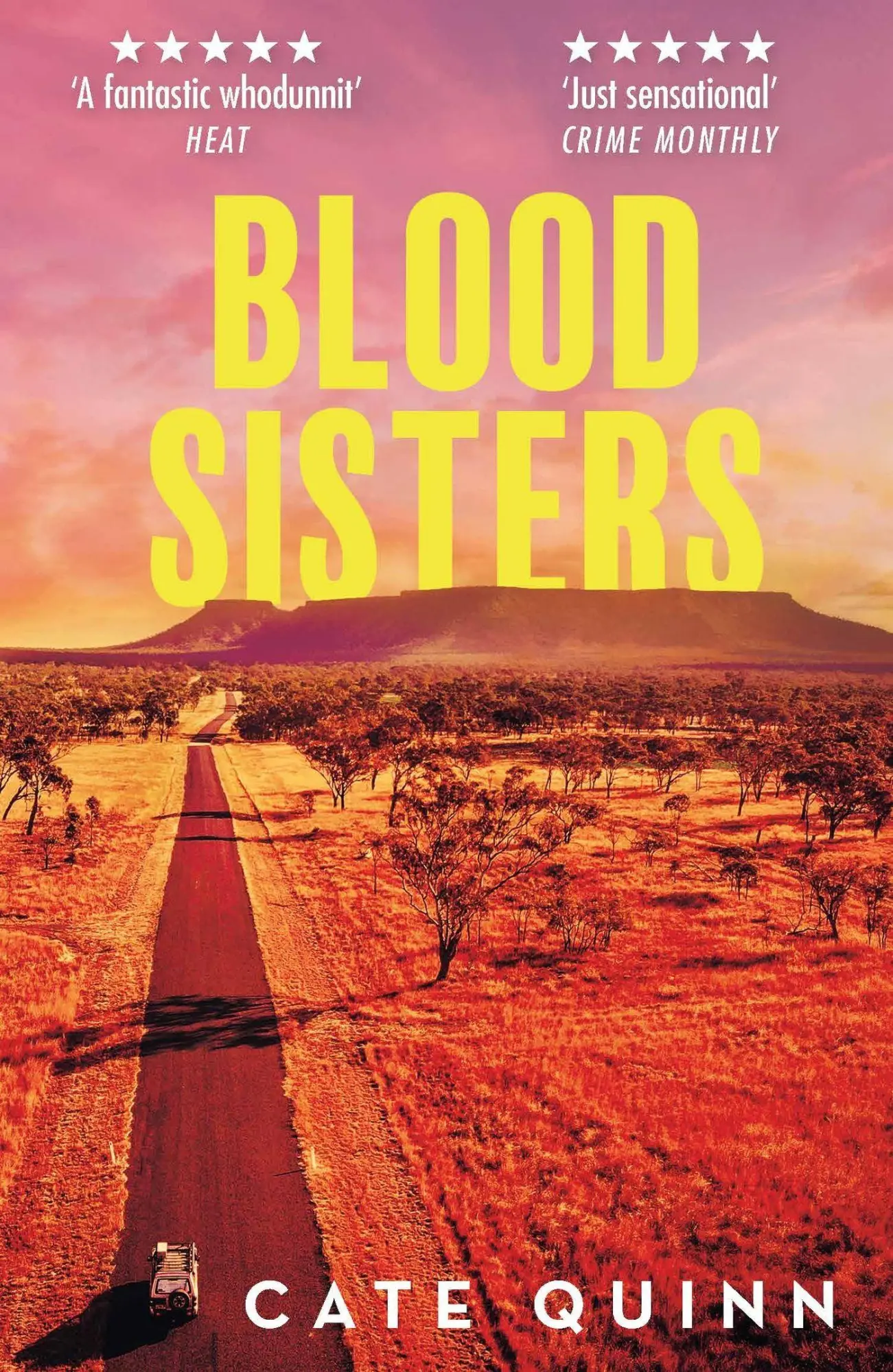 Cover: 9781409197027 | Blood Sisters | The Most Addictive Murder Mystery of 2026 | Cate Quinn