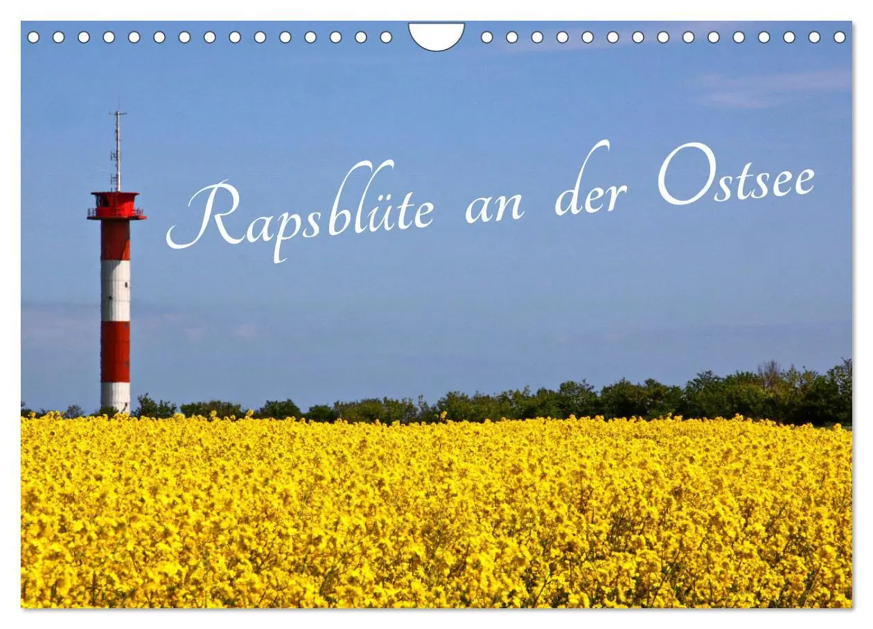 Cover: 9783457657027 | Rapsblüte an der Ostsee (Wandkalender 2026 DIN A4 quer), CALVENDO...