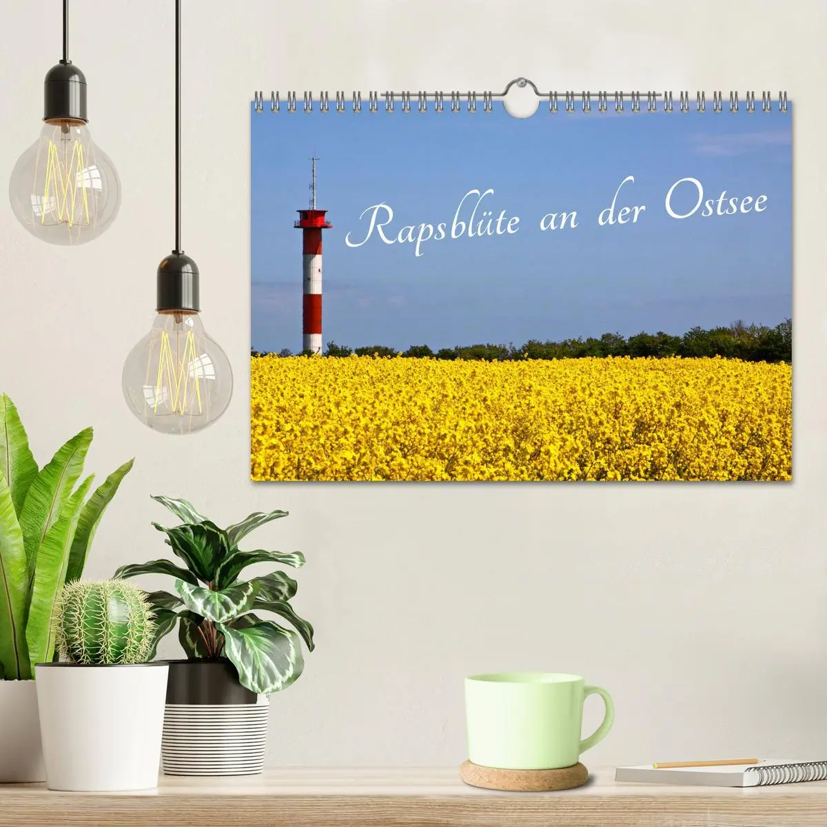 Bild: 9783457657027 | Rapsblüte an der Ostsee (Wandkalender 2026 DIN A4 quer), CALVENDO...