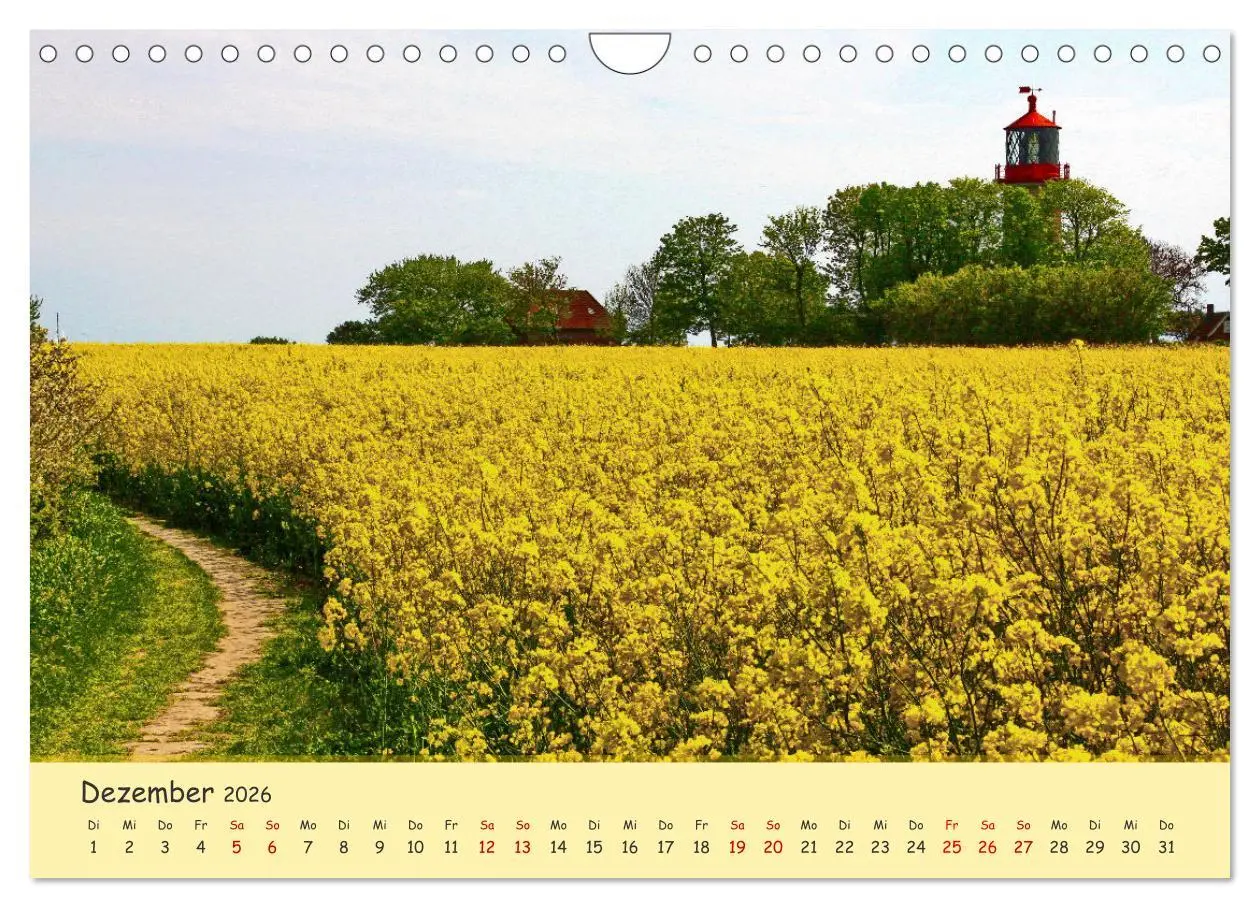 Bild: 9783457657027 | Rapsblüte an der Ostsee (Wandkalender 2026 DIN A4 quer), CALVENDO...