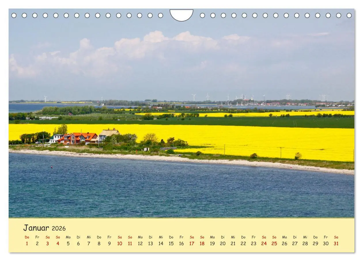 Bild: 9783457657027 | Rapsblüte an der Ostsee (Wandkalender 2026 DIN A4 quer), CALVENDO...