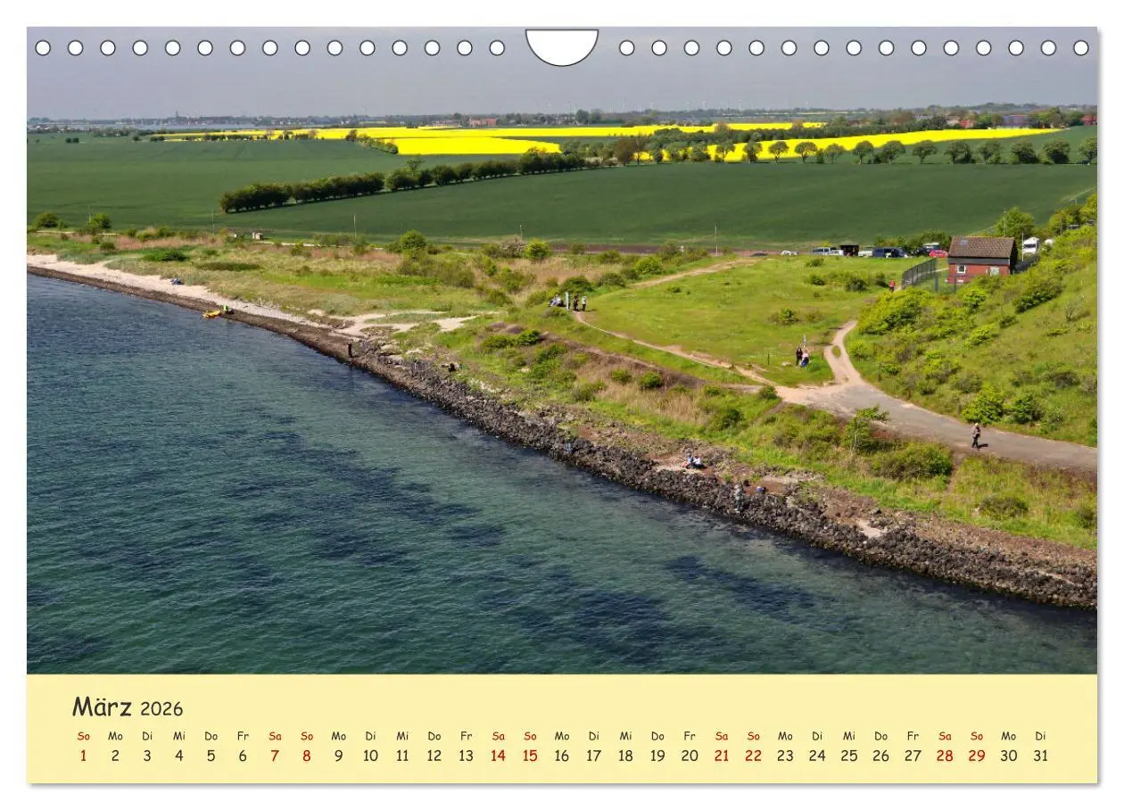 Bild: 9783457657027 | Rapsblüte an der Ostsee (Wandkalender 2026 DIN A4 quer), CALVENDO...