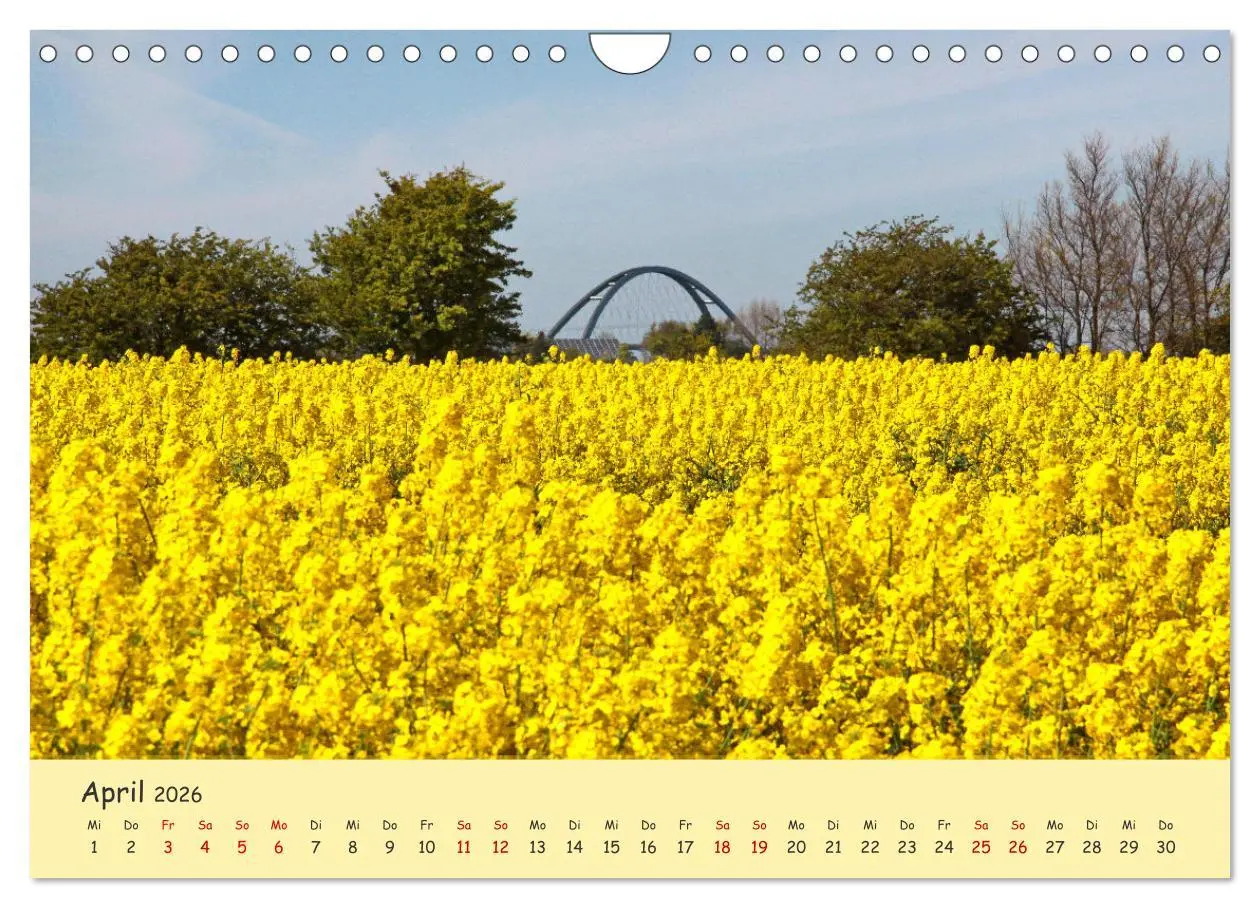 Bild: 9783457657027 | Rapsblüte an der Ostsee (Wandkalender 2026 DIN A4 quer), CALVENDO...