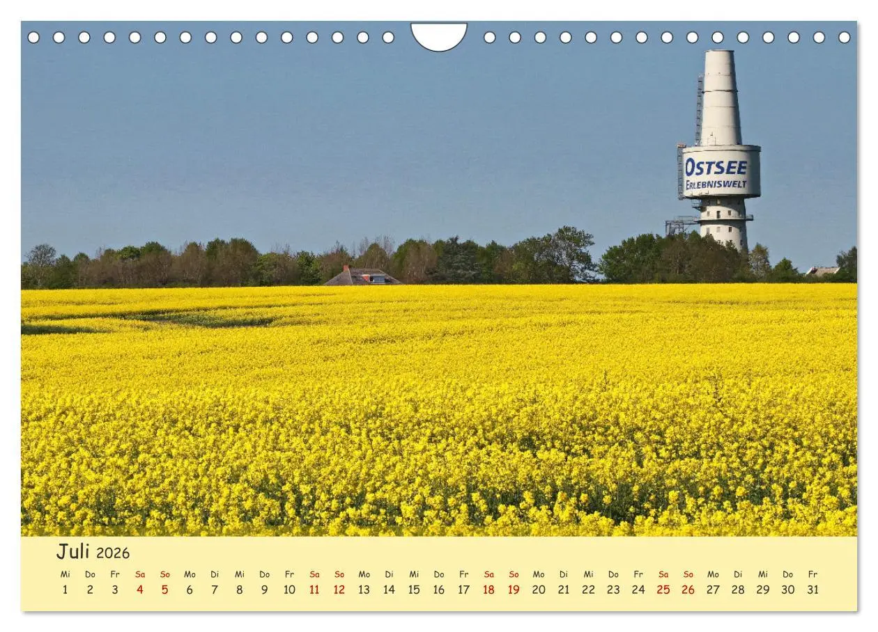 Bild: 9783457657027 | Rapsblüte an der Ostsee (Wandkalender 2026 DIN A4 quer), CALVENDO...