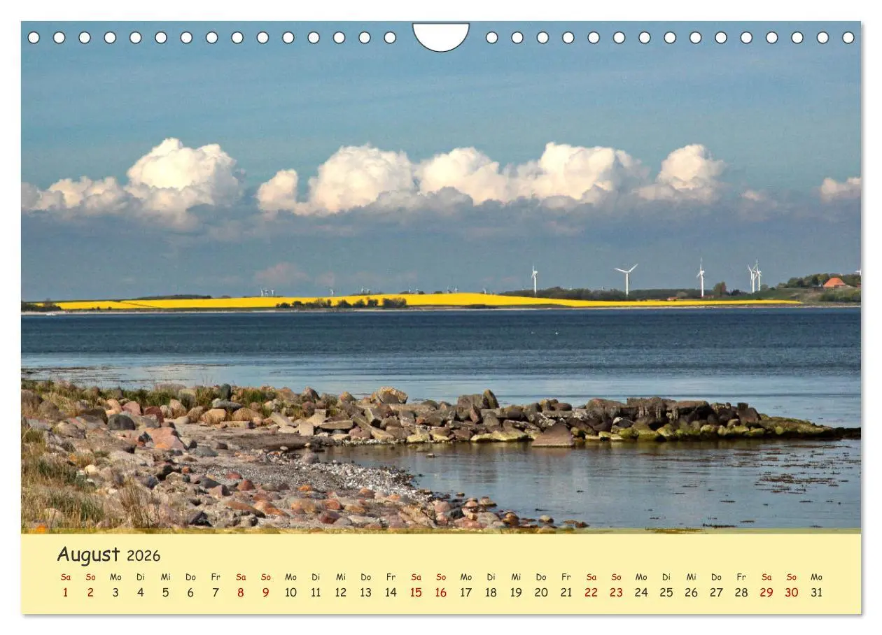 Bild: 9783457657027 | Rapsblüte an der Ostsee (Wandkalender 2026 DIN A4 quer), CALVENDO...