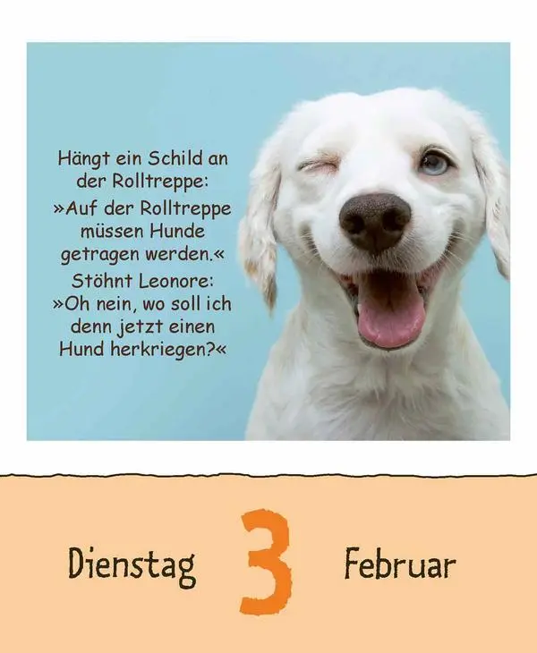 Bild: 9783731887027 | Schülerwitze 2026 | Verlag Korsch | Kalender | 328 S. | Deutsch | 2026