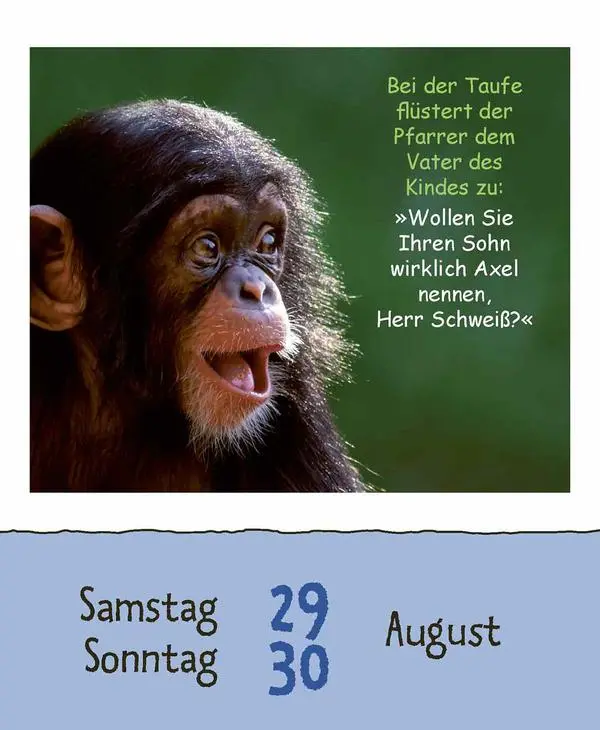 Bild: 9783731887027 | Schülerwitze 2026 | Verlag Korsch | Kalender | 328 S. | Deutsch | 2026