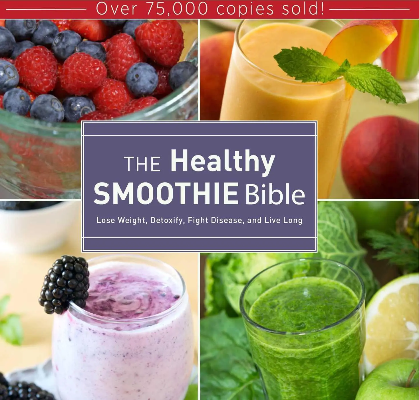Cover: 9781628737127 | The Healthy Smoothie Bible | Farnoosh Brock | Buch | Gebunden | 2014