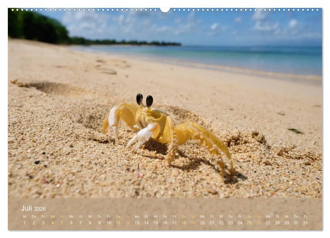 Bild: 9783457267127 | Guadeloupe - Karibische Traumstrände (Wandkalender 2026 DIN A2...