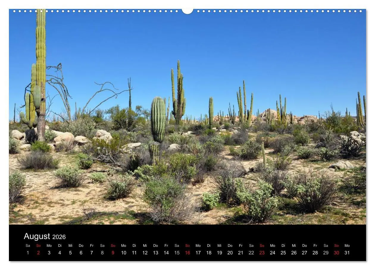 Bild: 9783516117127 | Baja California - Impressionen der mexikanischen Halbinsel...