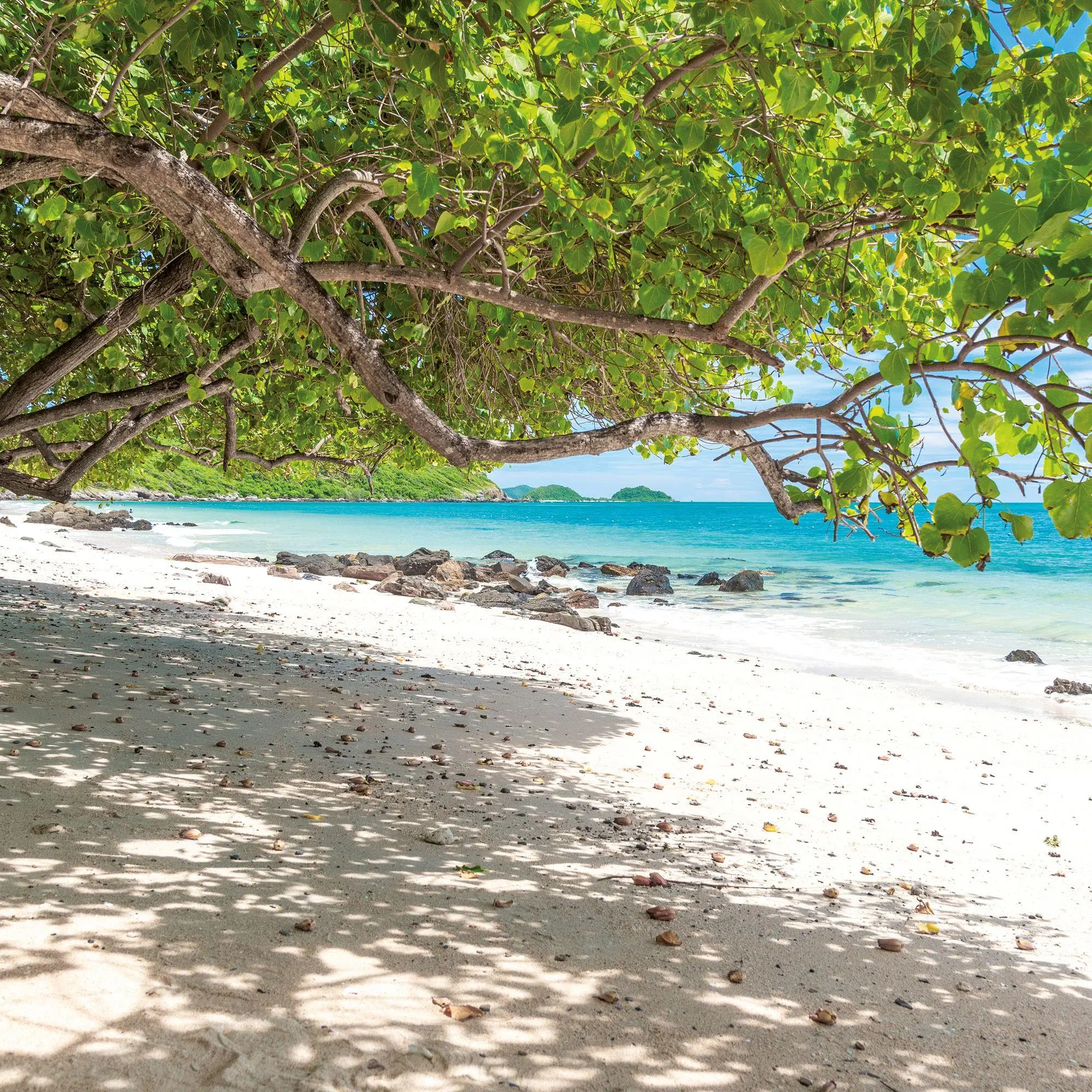 Bild: 9783959297127 | Trauminseln / Dream Islands 2027 | Kalender 2027 | Kalender | 28 S.
