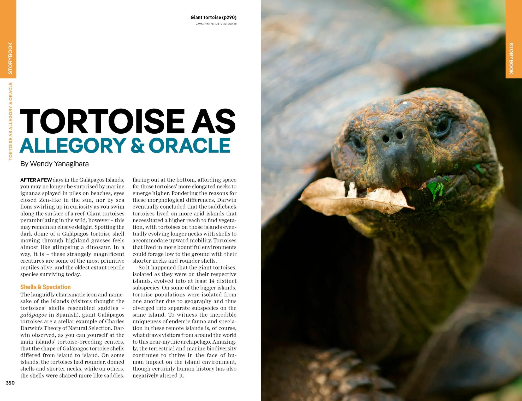 Bild: 9781838697327 | Lonely Planet Ecuador &amp; the Galapagos Islands | Yanagihara (u. a.)