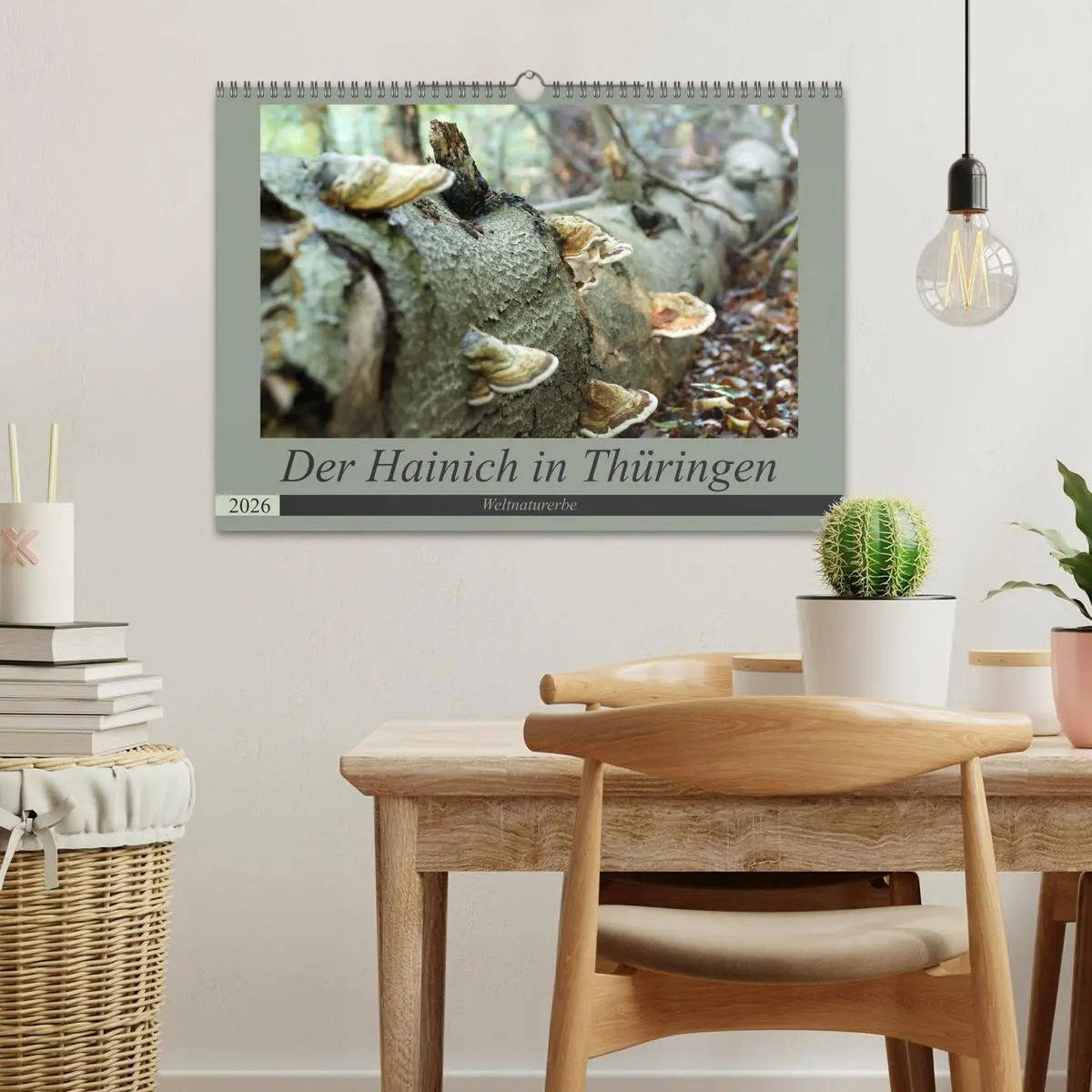 Bild: 9783457867327 | Der Hainich in Thüringen - Weltnaturerbe (Wandkalender 2026 DIN A3...