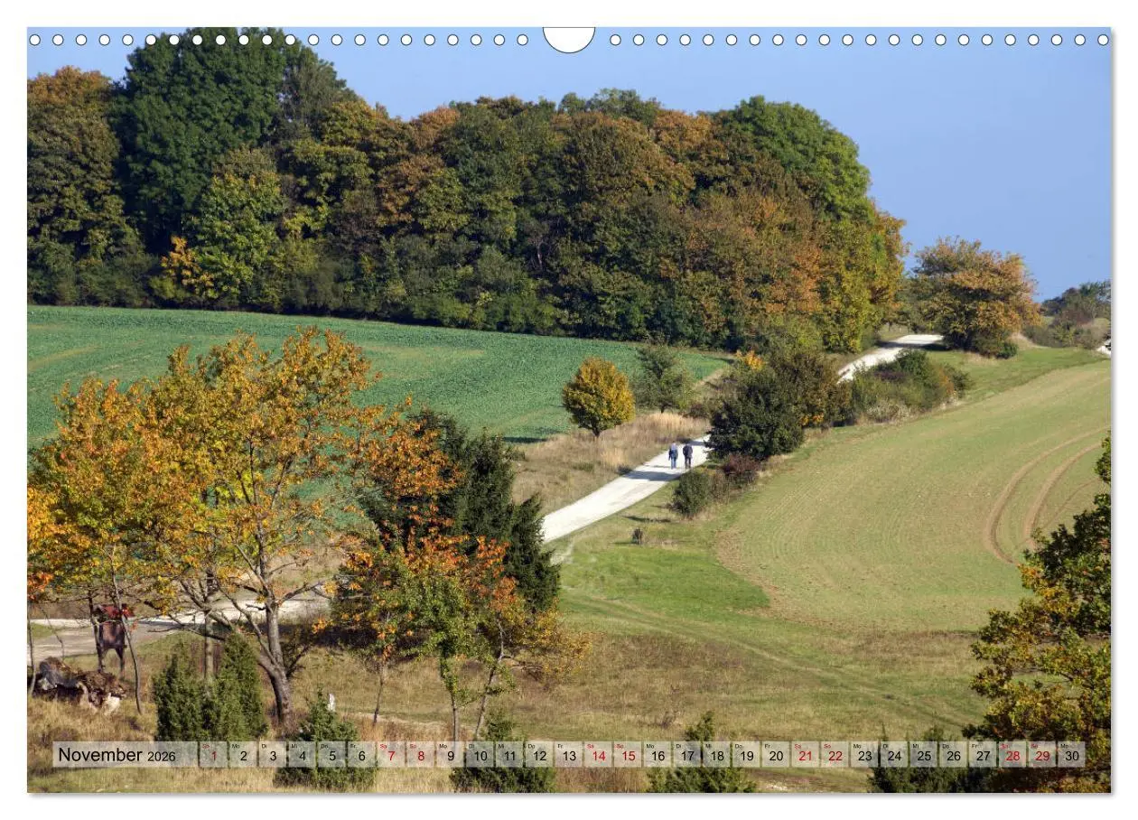 Bild: 9783457867327 | Der Hainich in Thüringen - Weltnaturerbe (Wandkalender 2026 DIN A3...