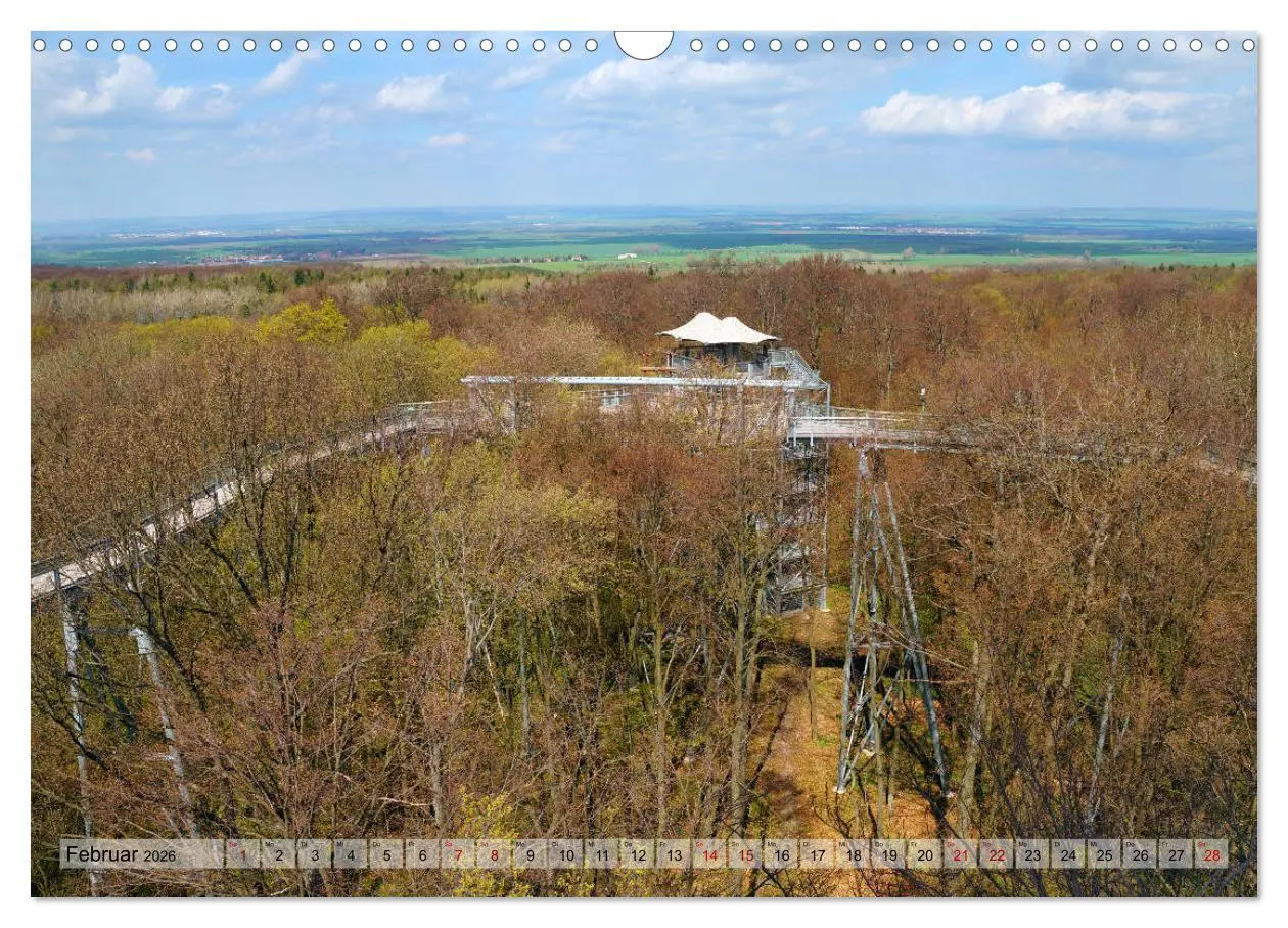 Bild: 9783457867327 | Der Hainich in Thüringen - Weltnaturerbe (Wandkalender 2026 DIN A3...