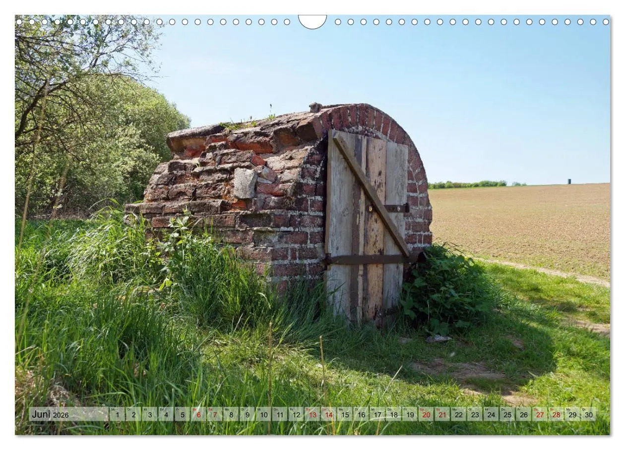 Bild: 9783457867327 | Der Hainich in Thüringen - Weltnaturerbe (Wandkalender 2026 DIN A3...
