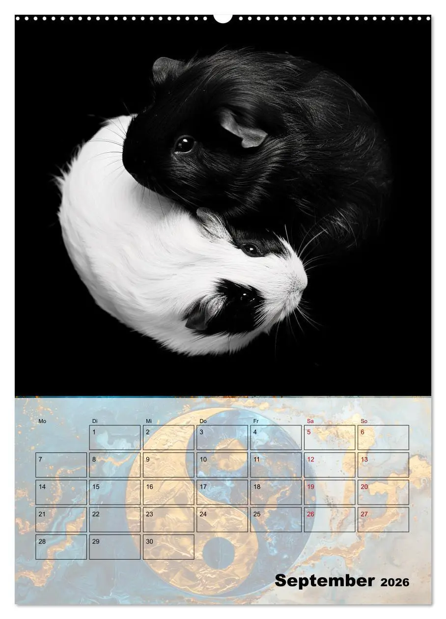Bild: 9783516267327 | Sei das Yin zu meinem Yang (hochwertiger Premium Wandkalender 2026...