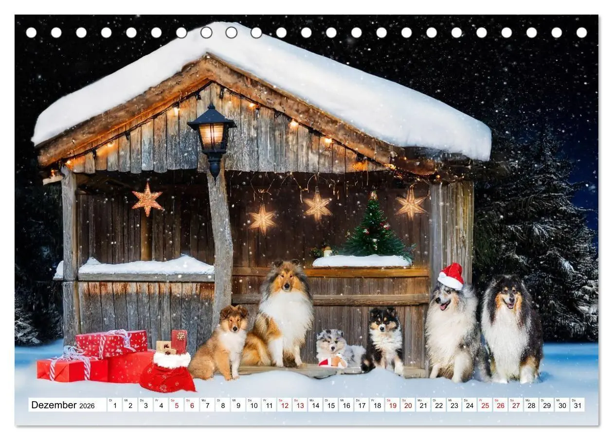 Bild: 9783516717327 | Traumhund Collie - Mein bester Freund (Tischkalender 2026 DIN A5...