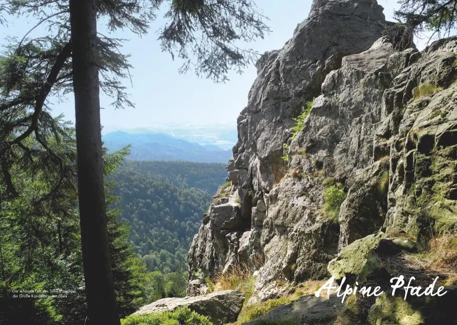 Bild: 9783862467327 | Alpine Pfade Baden-Württemberg | Philipp Sauer | Taschenbuch | 160 S.