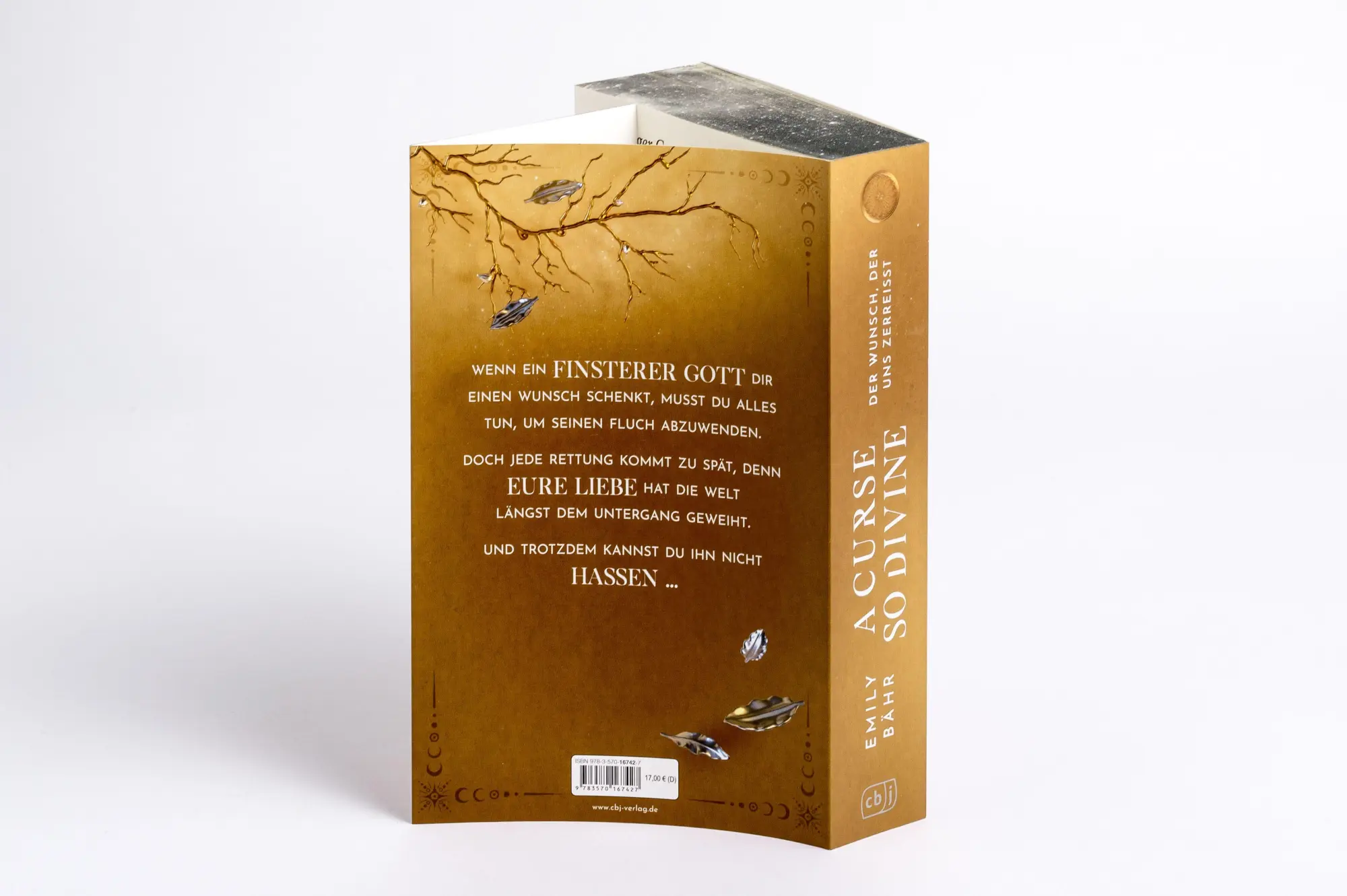 Bild: 9783570167427 | A Curse so Divine - Der Wunsch, der uns zerreißt | Emily Bähr | Buch