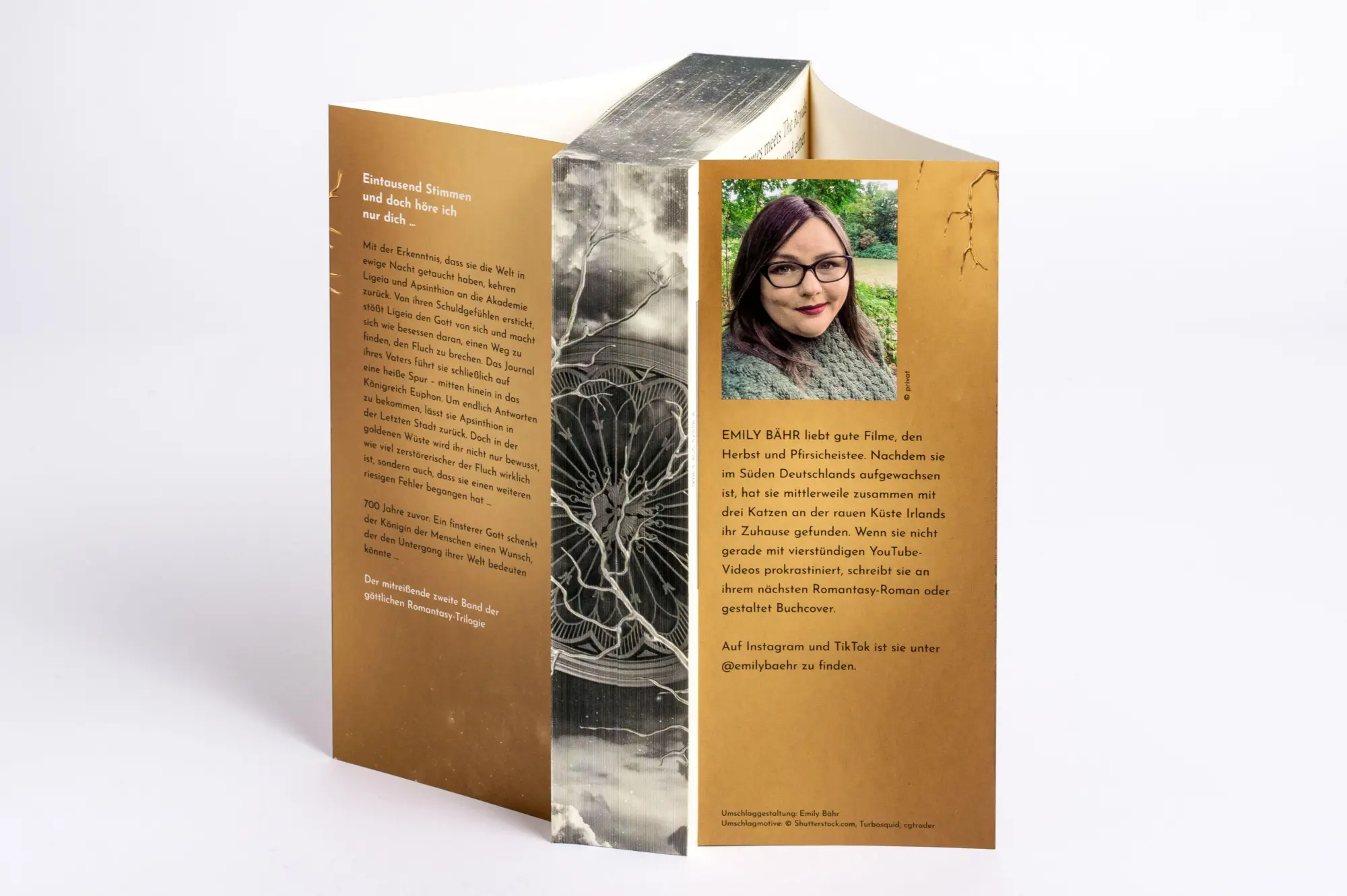 Bild: 9783570167427 | A Curse so Divine - Der Wunsch, der uns zerreißt | Emily Bähr | Buch