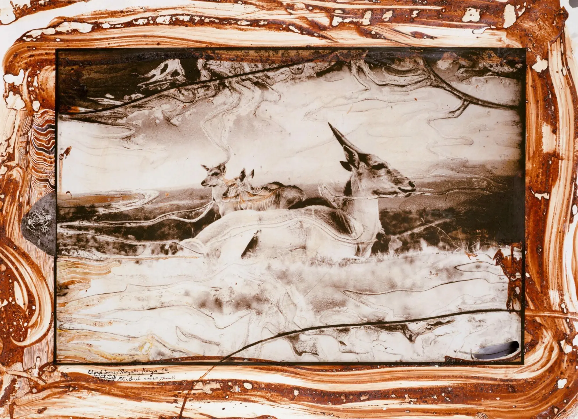 Bild: 9783836577427 | Peter Beard | Owen Edwards (u. a.) | Buch | GER, Hardcover | 770 S.