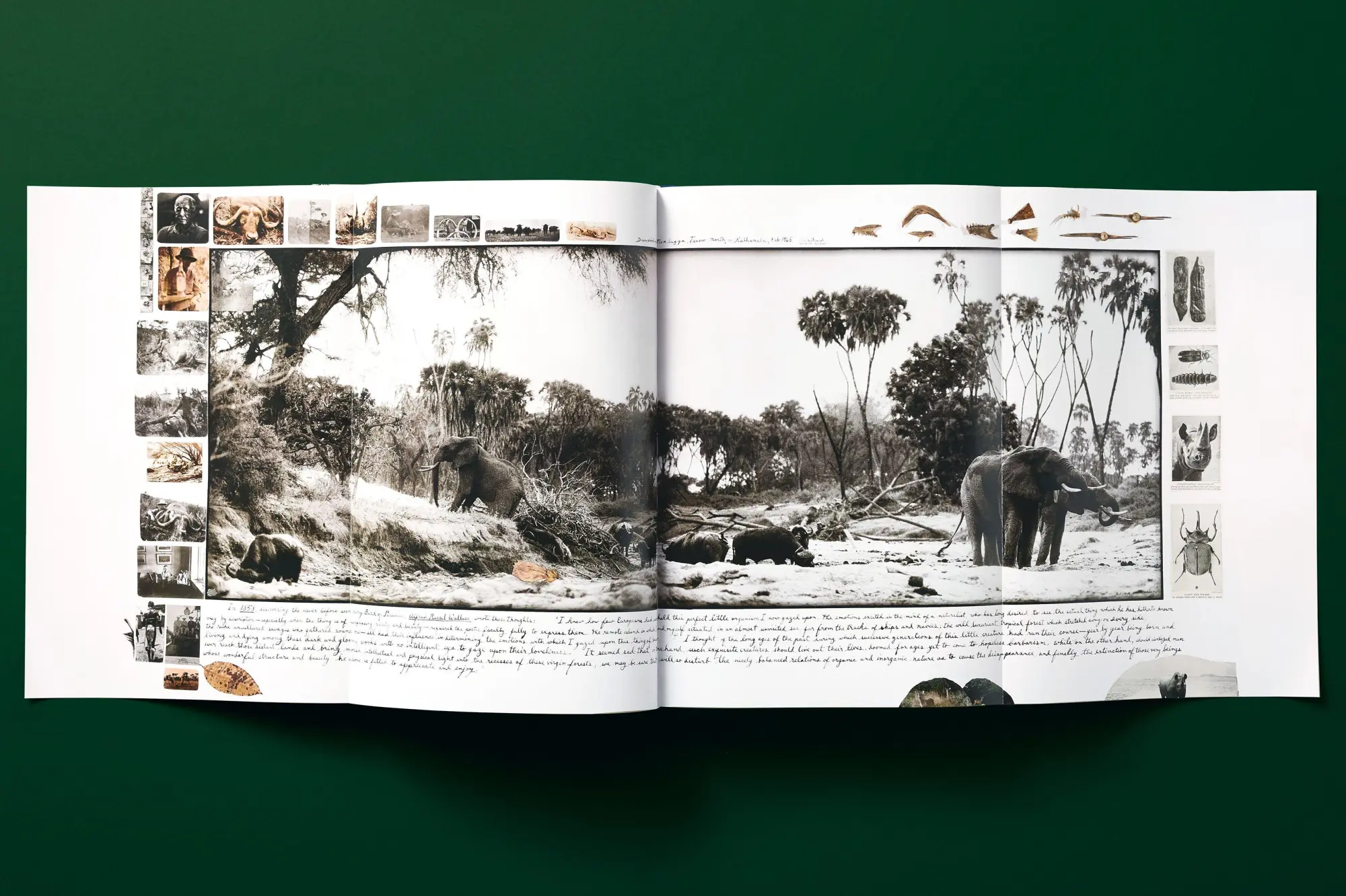 Bild: 9783836577427 | Peter Beard | Owen Edwards (u. a.) | Buch | GER, Hardcover | 770 S.