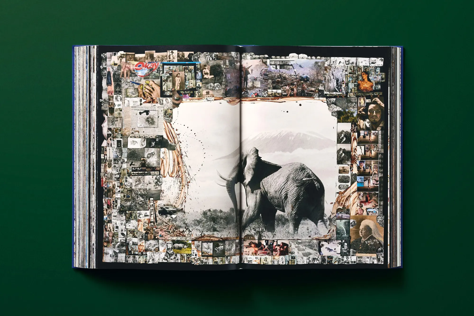 Bild: 9783836577427 | Peter Beard | Owen Edwards (u. a.) | Buch | GER, Hardcover | 770 S.