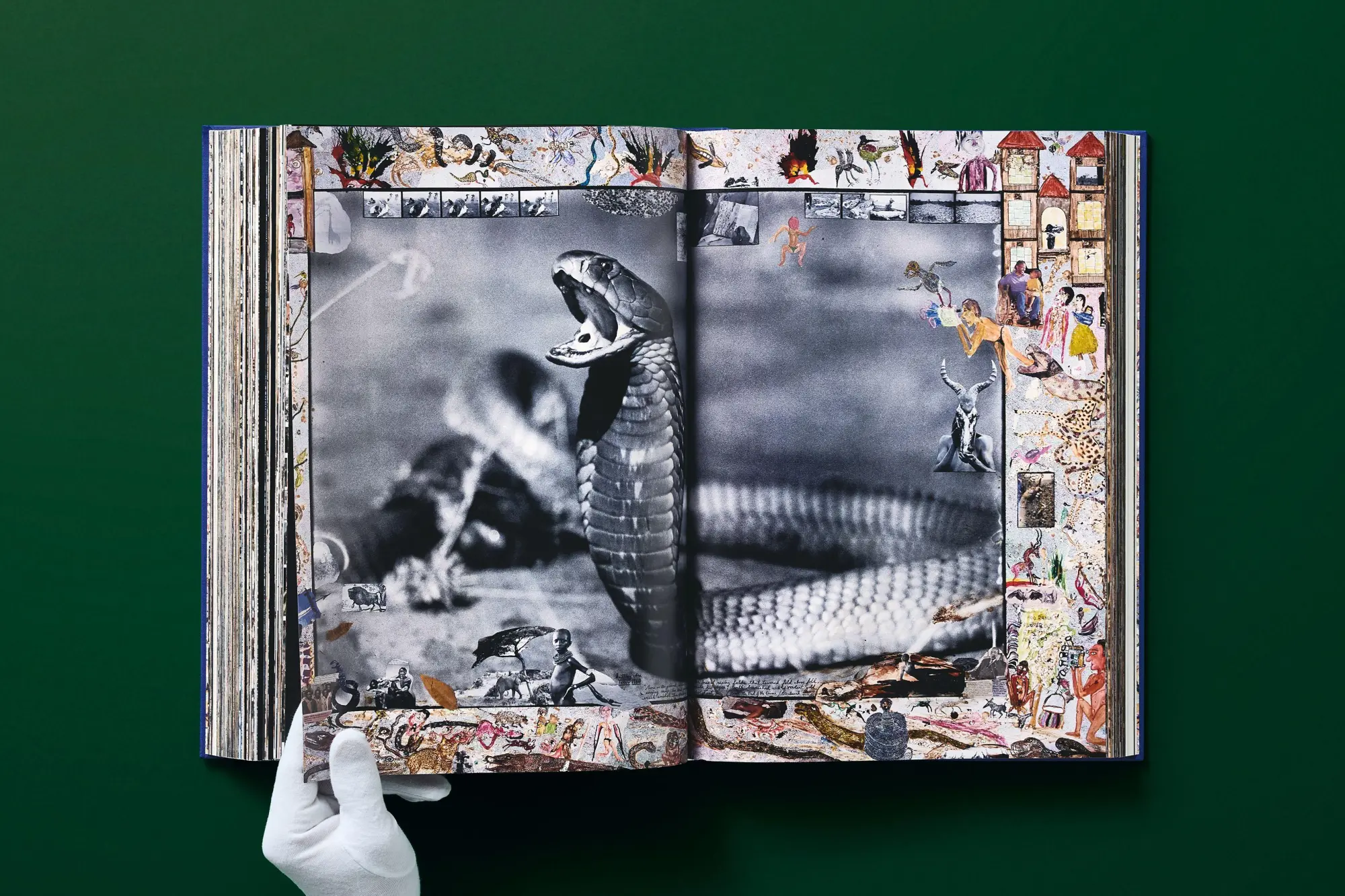 Bild: 9783836577427 | Peter Beard | Owen Edwards (u. a.) | Buch | GER, Hardcover | 770 S.