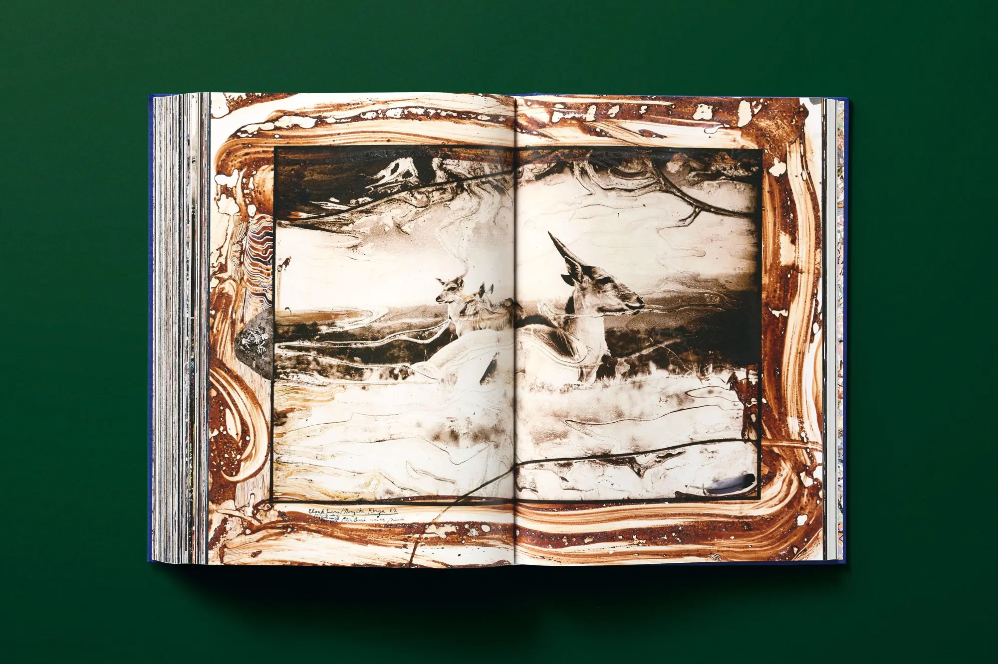 Bild: 9783836577427 | Peter Beard | Owen Edwards (u. a.) | Buch | GER, Hardcover | 770 S.