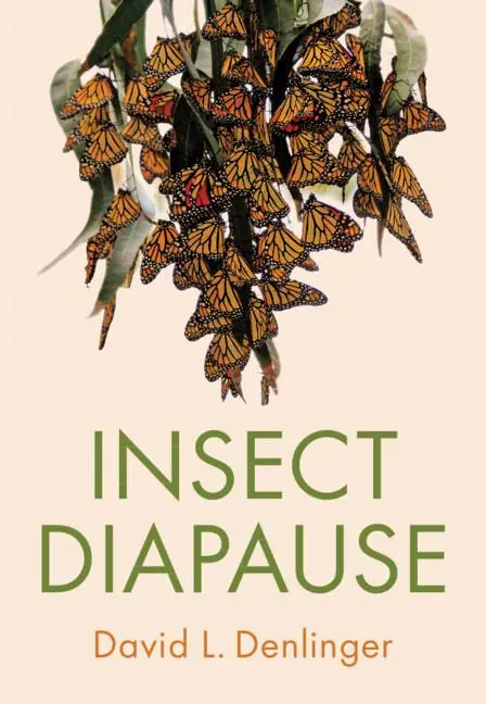 Cover: 9781108497527 | Insect Diapause | David L Denlinger | Buch | Gebunden | Englisch