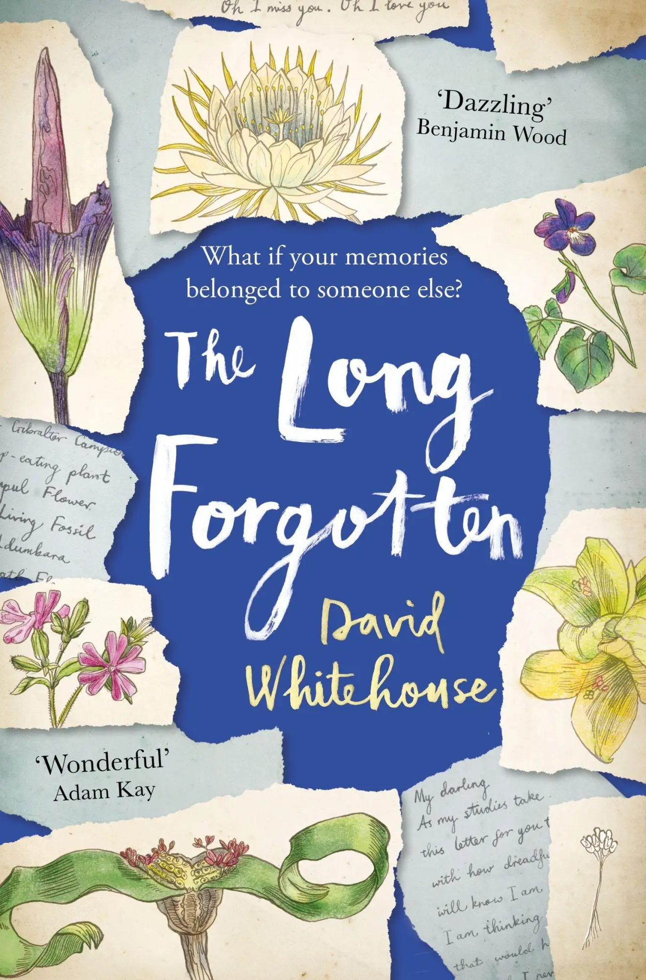 Cover: 9781509827527 | The Long Forgotten | David Whitehouse | Taschenbuch | 304 S. | 2019