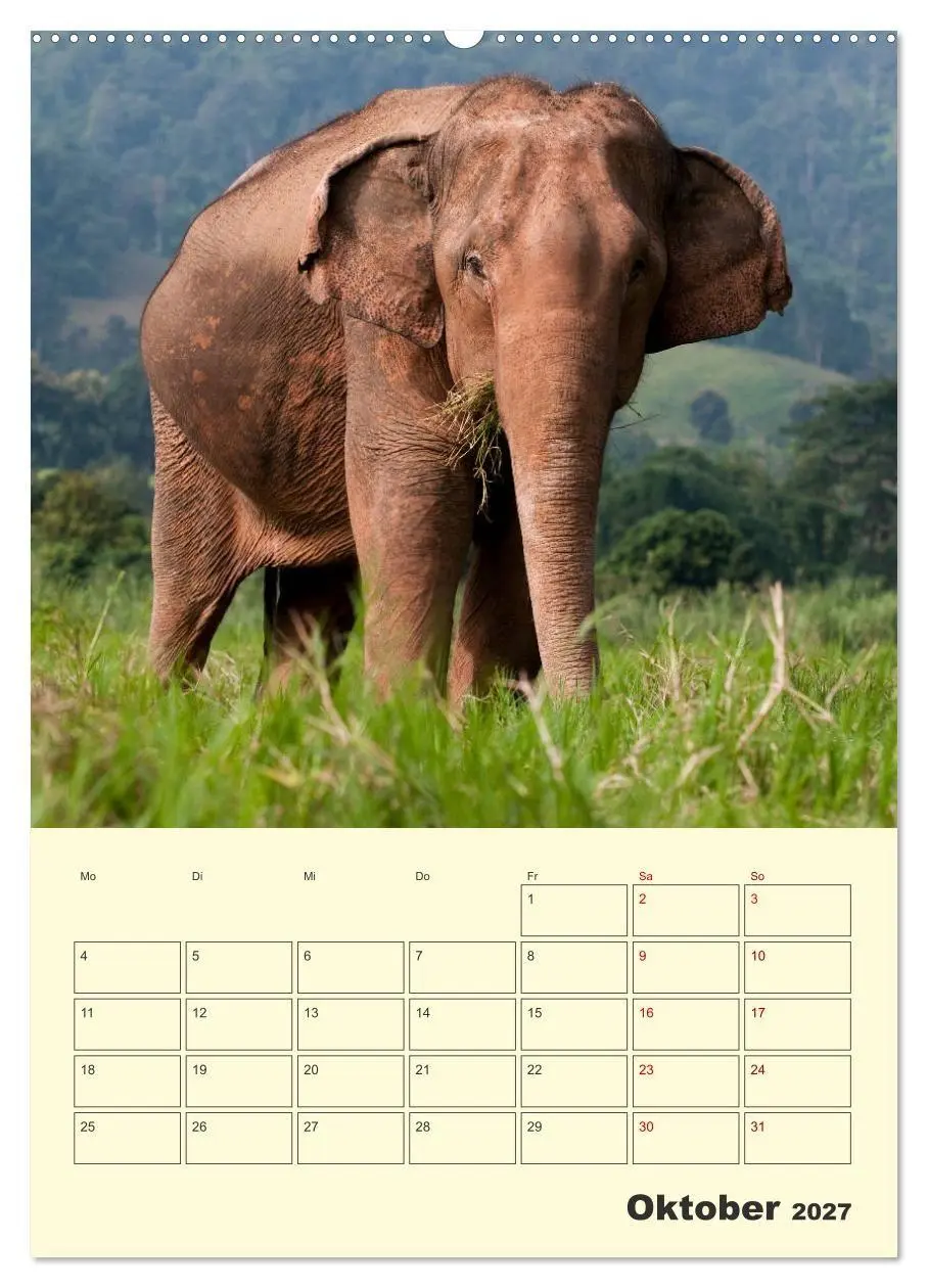 Bild: 9783569577527 | ELEFANTEN - Asiens graue Riesen (hochwertiger Premium Wandkalender...