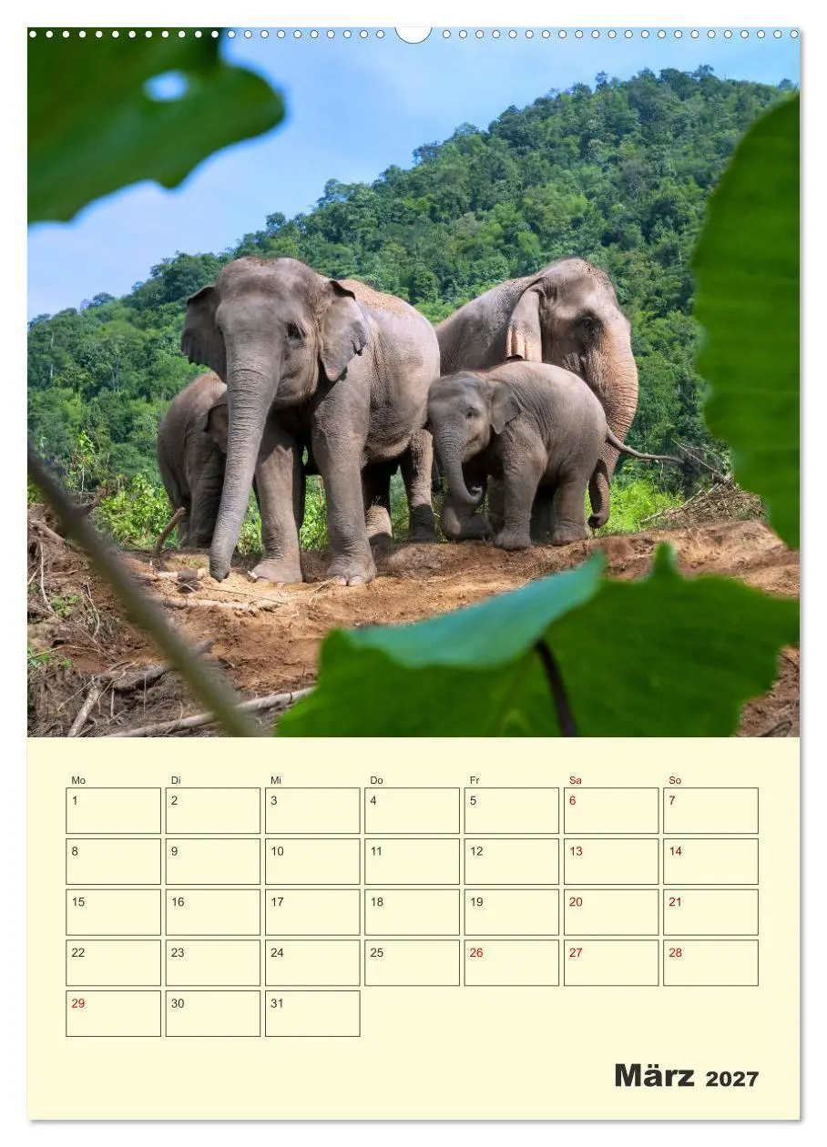Bild: 9783569577527 | ELEFANTEN - Asiens graue Riesen (hochwertiger Premium Wandkalender...
