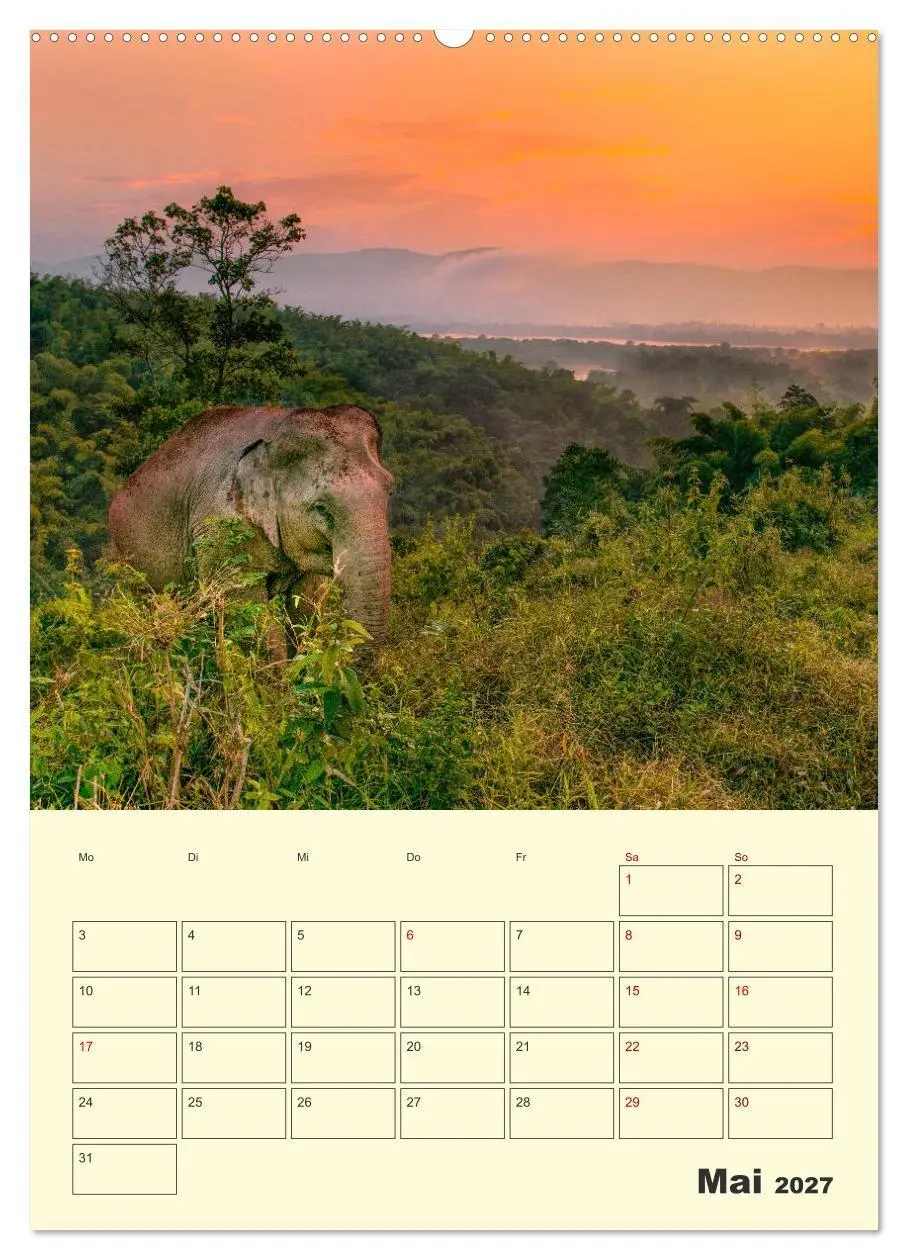 Bild: 9783569577527 | ELEFANTEN - Asiens graue Riesen (hochwertiger Premium Wandkalender...