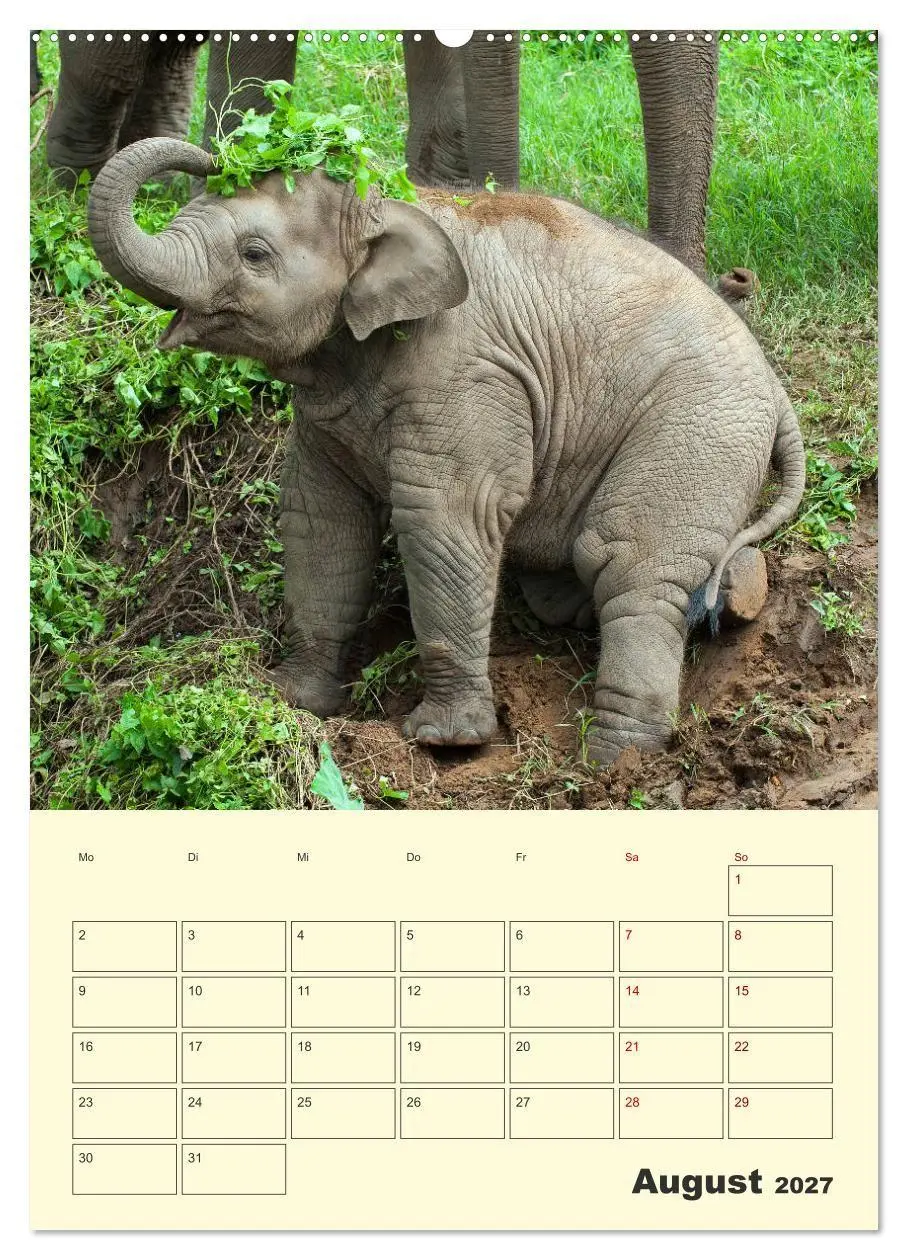 Bild: 9783569577527 | ELEFANTEN - Asiens graue Riesen (hochwertiger Premium Wandkalender...