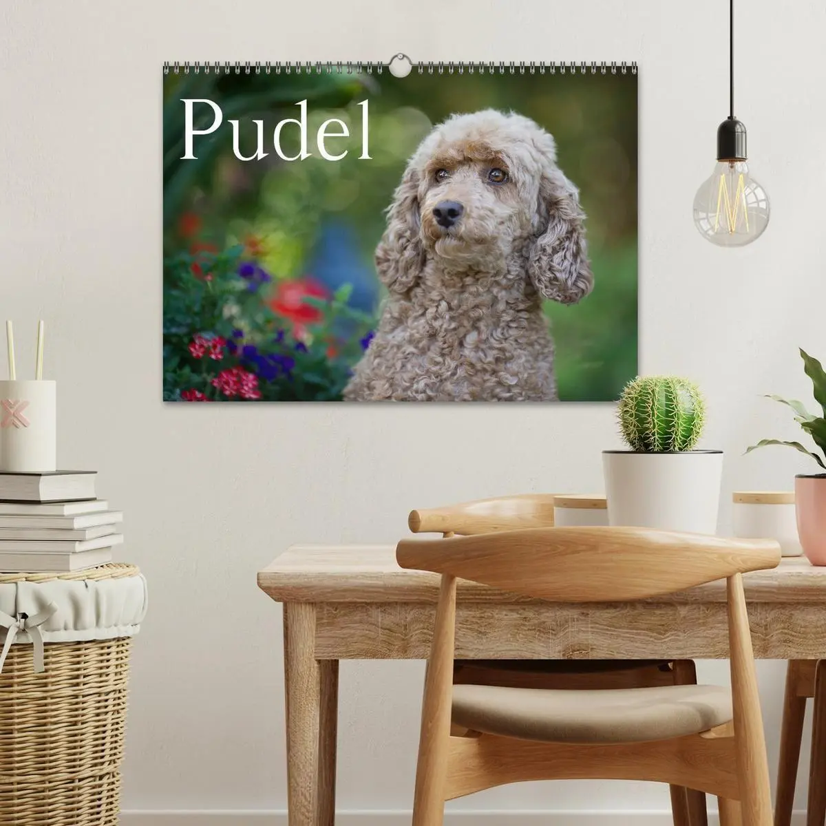 Bild: 9783594157527 | Pudel (Wandkalender 2027 DIN A3 quer), CALVENDO Monatskalender | Noack