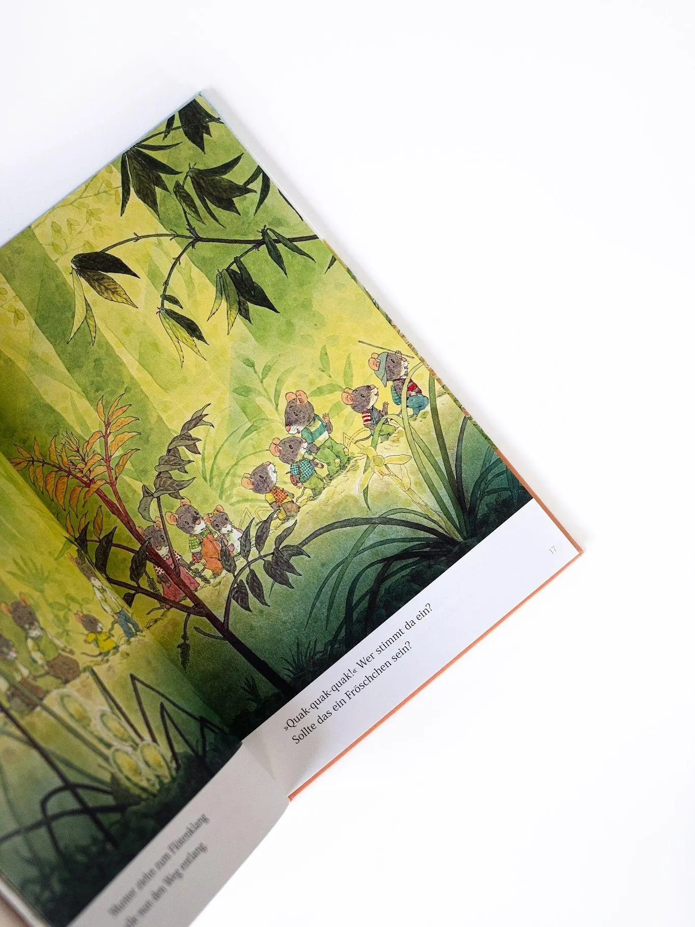 Bild: 9783314107627 | Familie Maus feiert die Jahreszeiten | Kazuo Iwamura | Buch | 144 S.