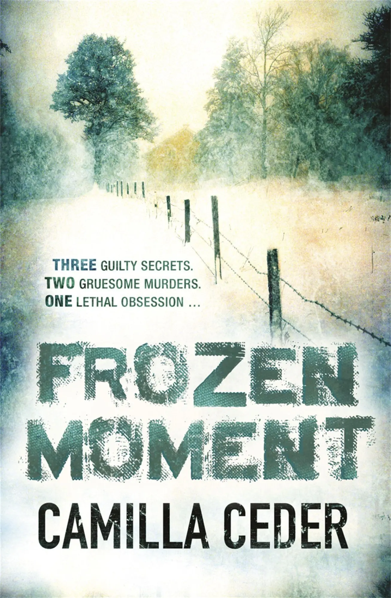 Cover: 9780753827727 | Frozen Moment | Camilla Ceder | Taschenbuch | 379 S. | Englisch | 2011