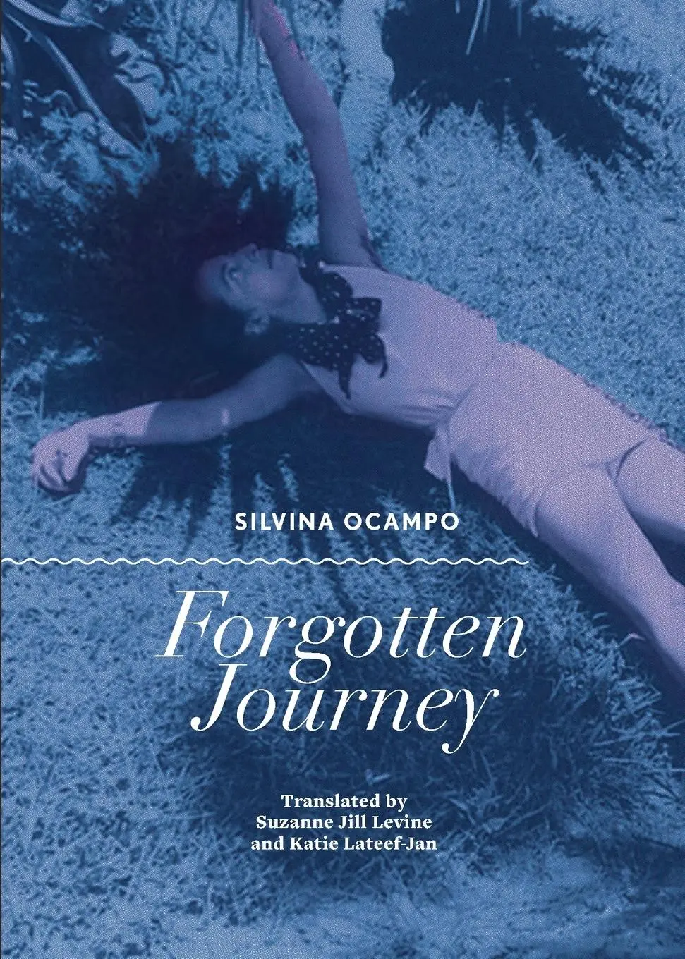 Cover: 9780872867727 | Forgotten Journey | Silvina Ocampo | Taschenbuch | Englisch | 2019