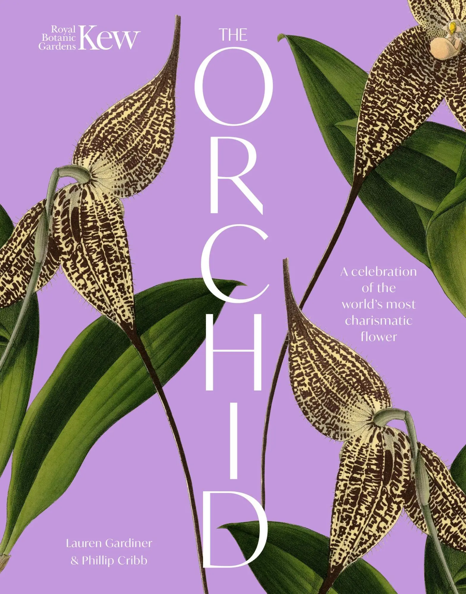 Cover: 9781035427727 | The Orchid | A celebration of the world's most charismatic flower