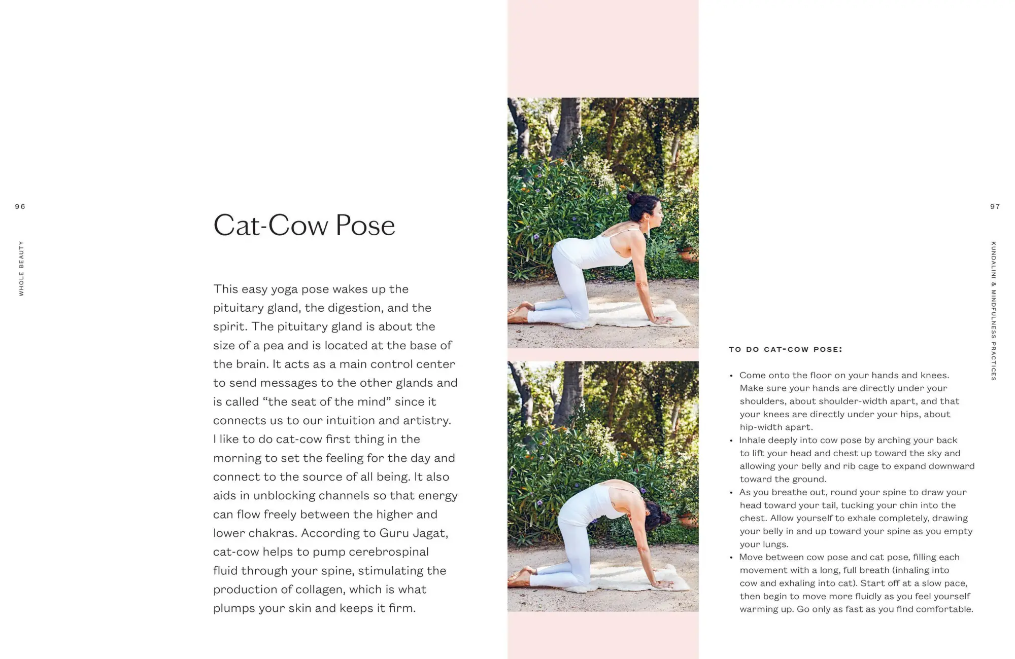 Bild: 9781579657727 | Whole Beauty | Shiva Rose | Buch | Gebunden | Englisch | 2018