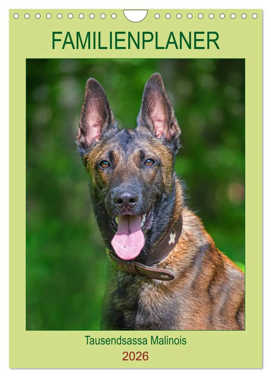 Cover: 9783516387827 | Familienplaner Tausendsassa Malinois (Wandkalender 2026 DIN A4...