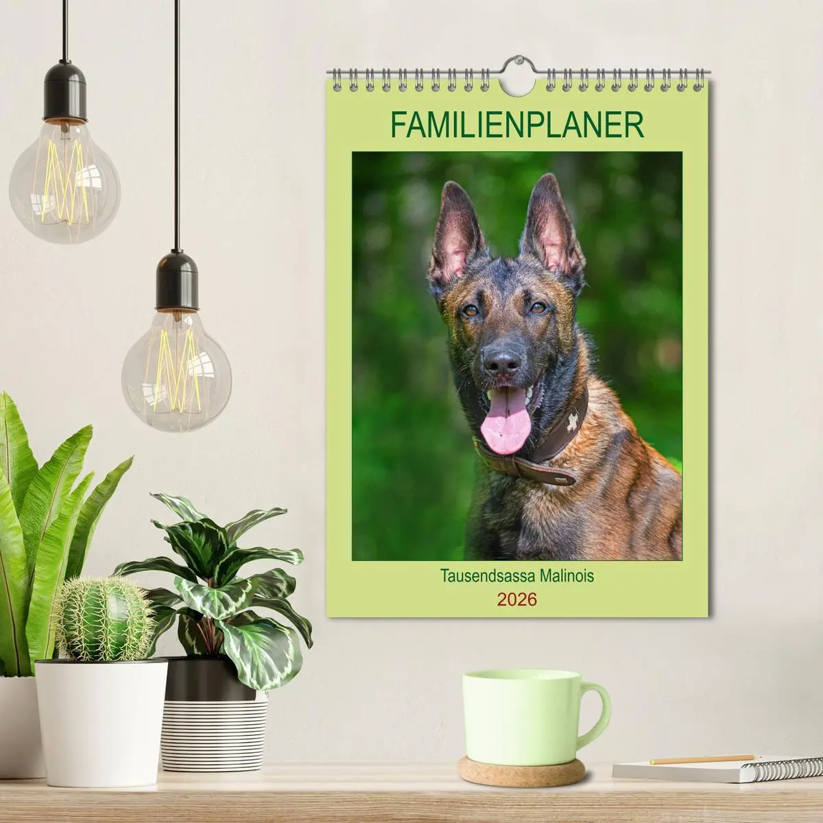 Bild: 9783516387827 | Familienplaner Tausendsassa Malinois (Wandkalender 2026 DIN A4...