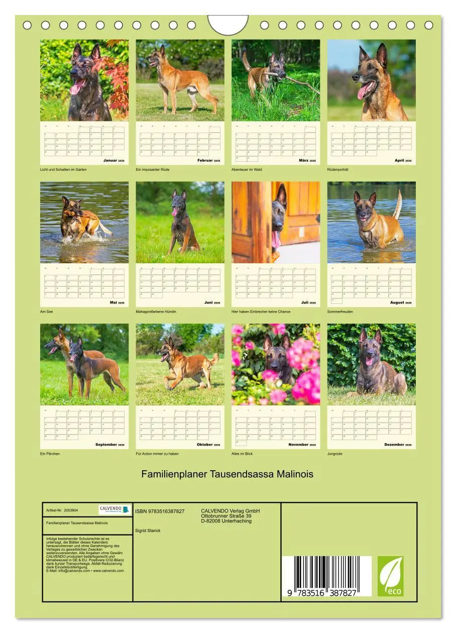 Bild: 9783516387827 | Familienplaner Tausendsassa Malinois (Wandkalender 2026 DIN A4...
