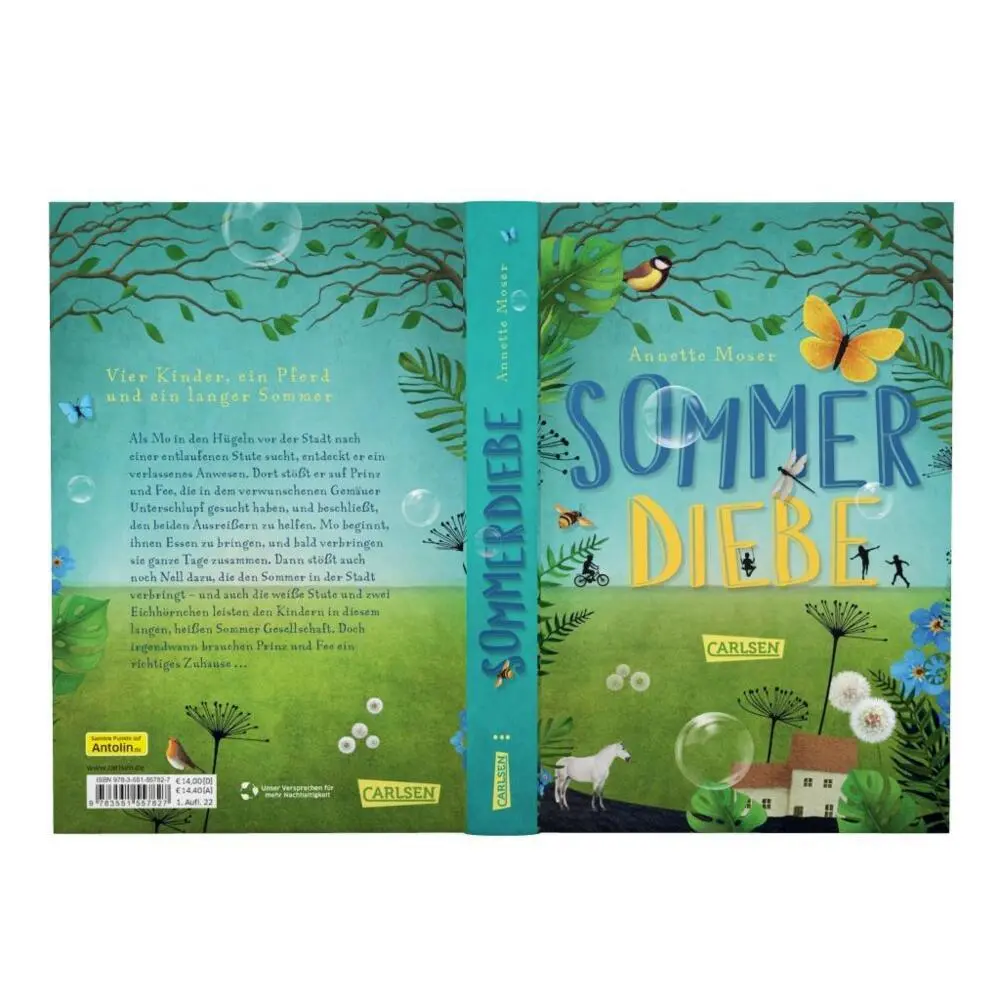 Bild: 9783551557827 | Sommerdiebe | Eine unvergessliche Feriengeschichte ab 10 Jahren | Buch