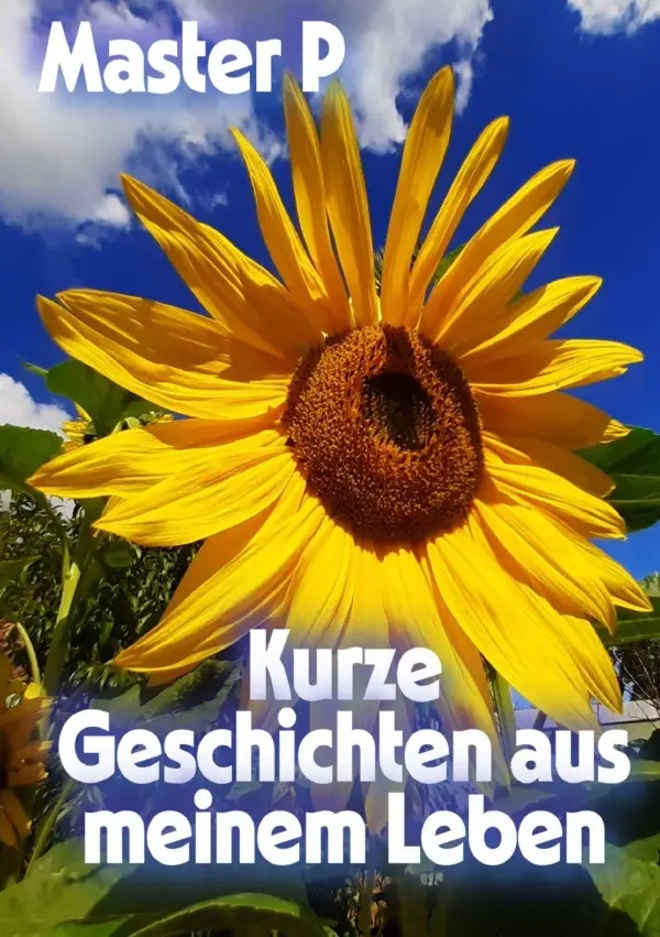 Cover: 9783565037827 | Kurze Geschichten aus meinem Leben | Master P | Taschenbuch | 88 S.